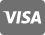 visa icon